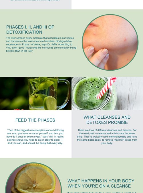 How Detox Works [infographic]