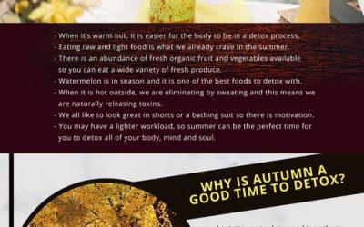 What is the Best Season for Detox? [infographic]