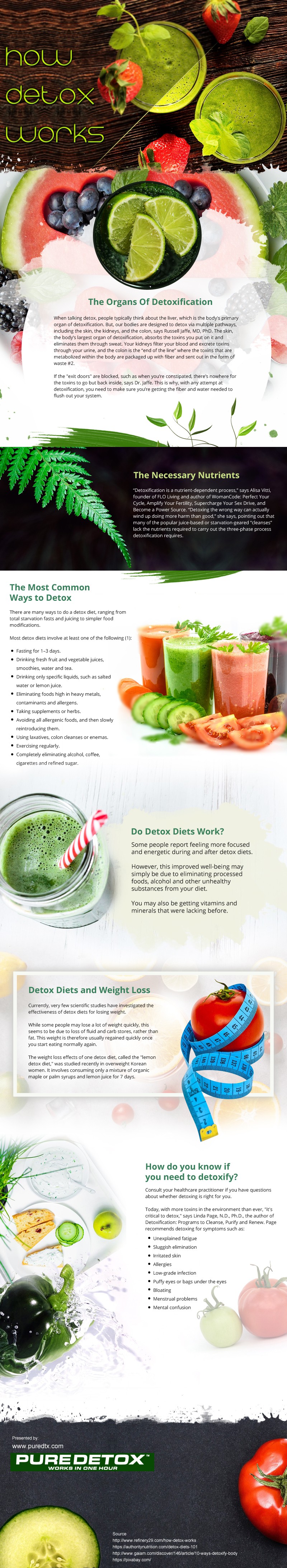 How Detox Works [infographic]