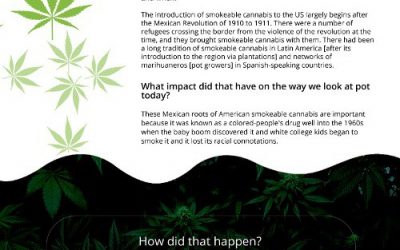 How Marijuana Started in the United States [infographic]