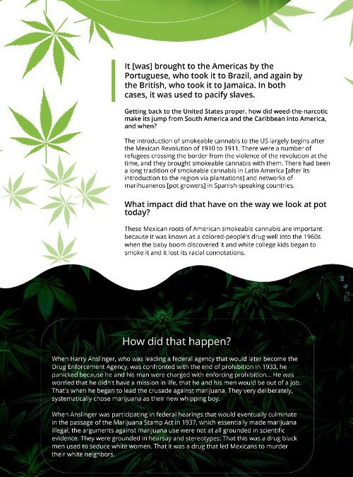 How Marijuana Started in the United States [infographic]