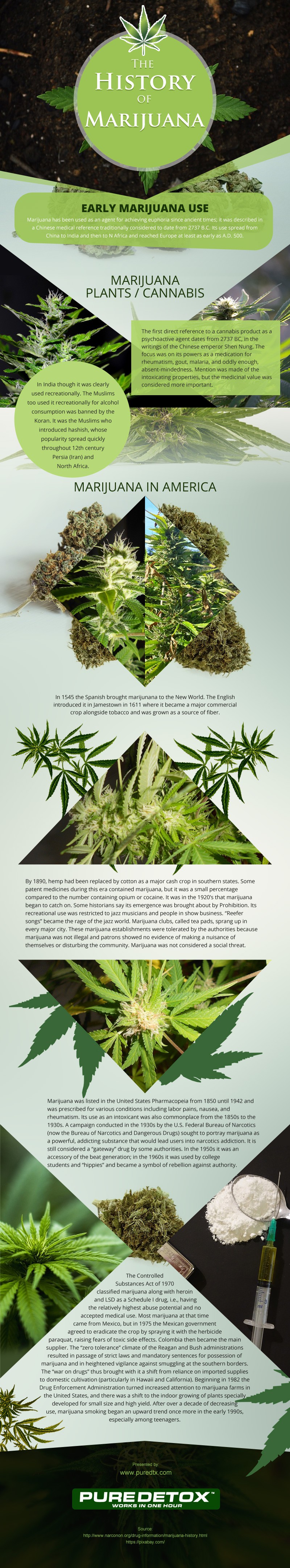The History of Marijuana [infographic]