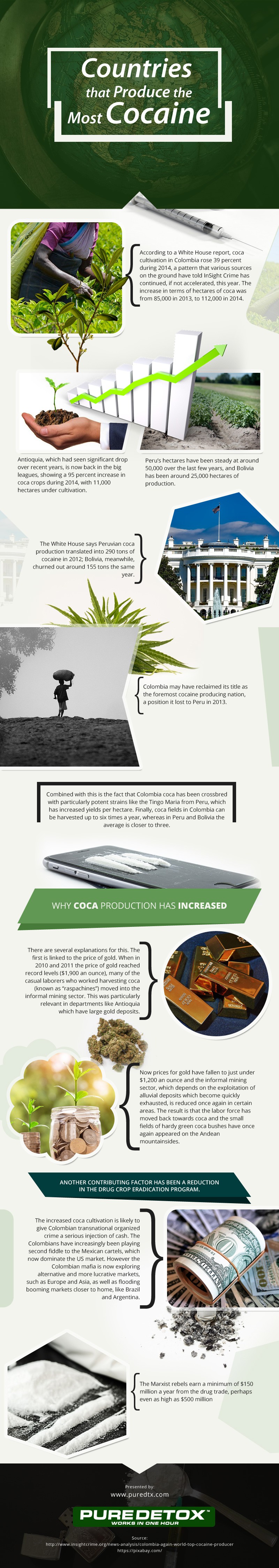 Countries Produce the Most Cocaine[infographic]