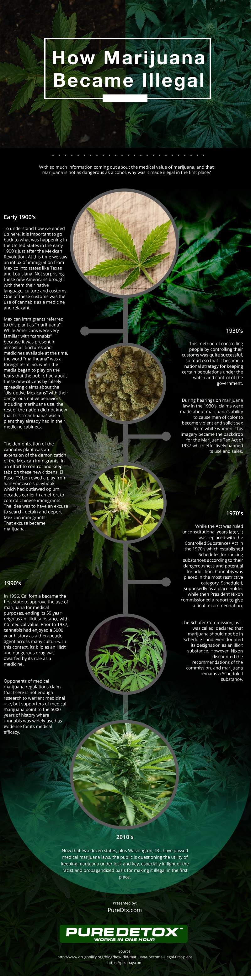 How Marijuana Became Illegal [infographic]